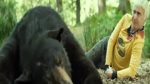 The bear adventure movie video. #movie