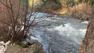Enjoying the Peace & Quiet of Whychus Creek – Central Oregon