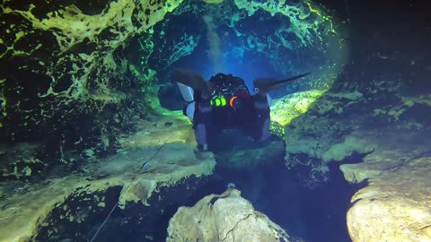 Cave Dive to the stunning Bone Room!