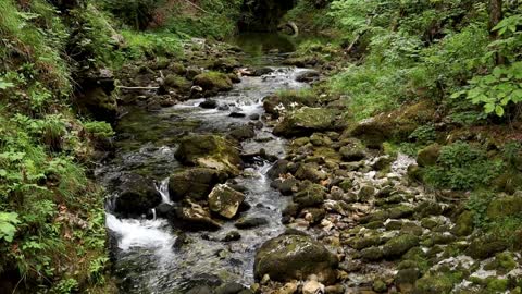 Walk true canyon Kamacnik, Croatia