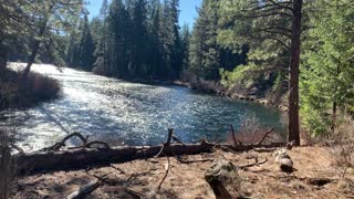 Metolius River Feels Like a Lake – Metolius River – Central Oregon