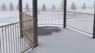 Snow Storm in Colorado