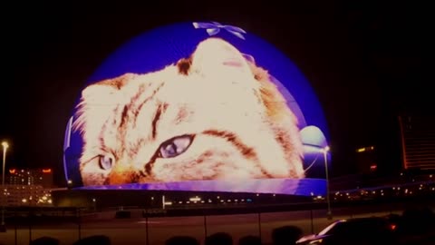 Sphere Las Vegas free show: The Hellman's Mayonnaise king size cat is ready to party on the Strip