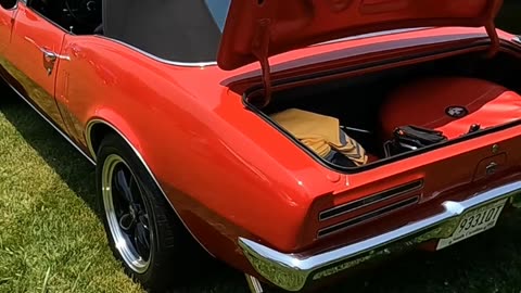 1967 Pontiac Trans Am Firebird