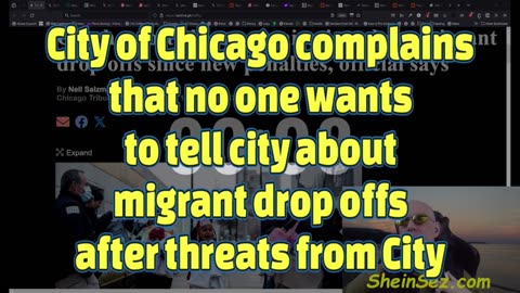 Democrat Chicago government unhappy about how policies are handled-SheinSez 385