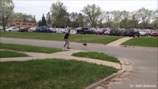 Angry Animals Chasing People