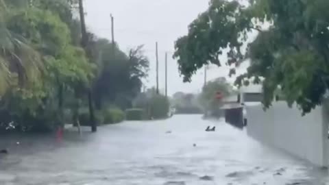 🚨 Miami, Florida Flooding