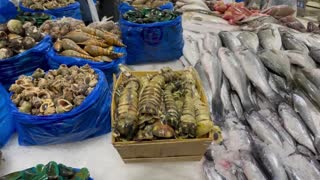 DUBAI FISH MARKET