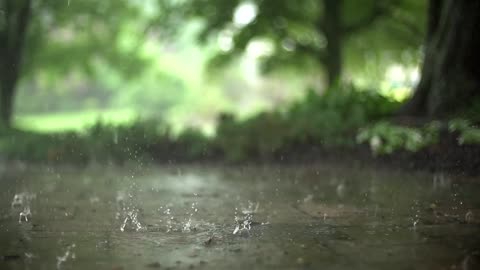 [Slow Motion] Rain Stock Footage |