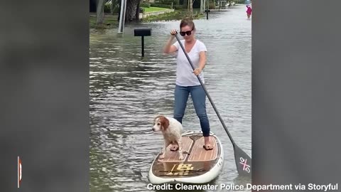 Resident and Dog Row Through Floodwaters in Tampa Area