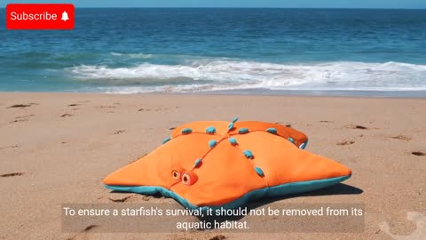 Why we should not take starfish out of water?