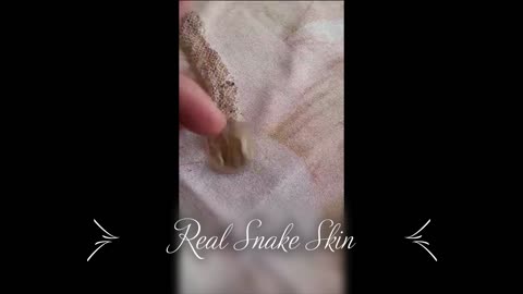 Snake skin