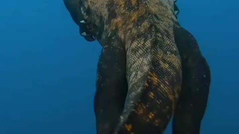 Ocean king, Godzilla