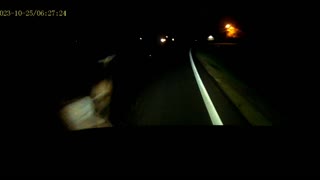 Deer on Road Narrowly Avoided