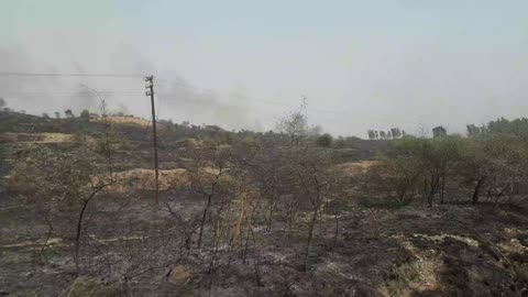 Fire destroy natural environment