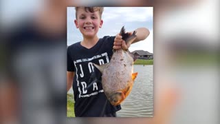 Oklahoma boy reels in rare exotic fish from neighborhood pond