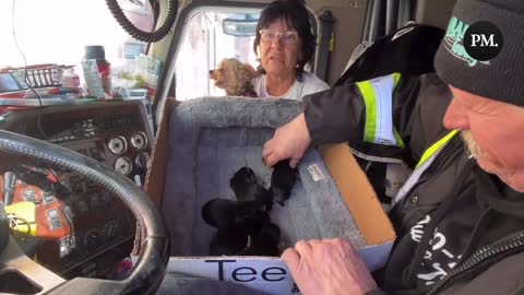 WATCH: "Freedom Puppies" Born in Ottawa Convoy Truck