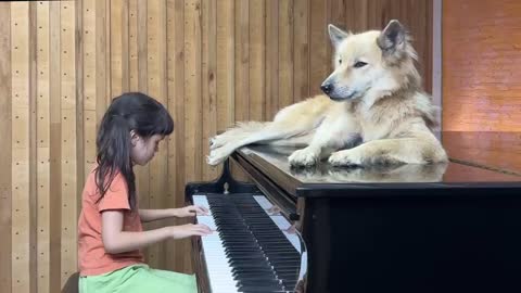 'Moon River' on Piano for Sharky the Dog