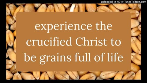 experience the crucified Christ to be grains full of life