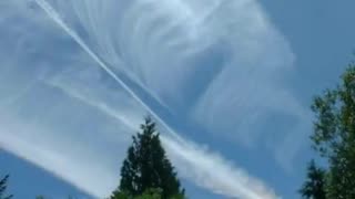 The Details on Chemtrails began as smoke screens? or was that the excuse?