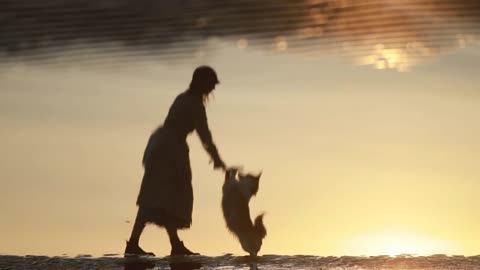 Woman train dog silhouette in water reflection on beach Spbi