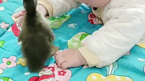 Cute baby fun