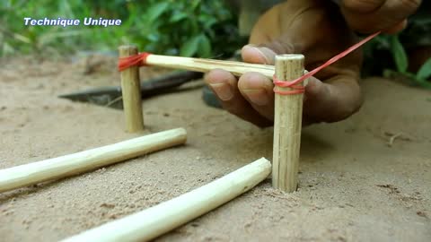 Creative Unique Bird Trap Using Small Plastic Ball Rolling Parrot Trap in Hole