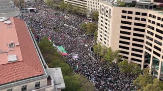 Washington DC, Pro-Palestinian march stretches as far as the eye can see.