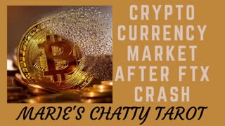 Let's Chat About Crypto Currency Market After FTX Crash