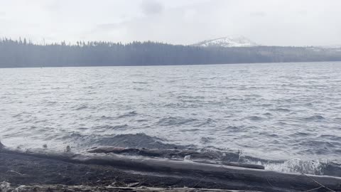 Beach Shoreline Perspective of Mountain Lake – Suttle Lake – Central Oregon – 4K