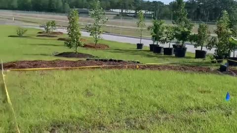 Another Food Forest Going In at Galt's Landing!