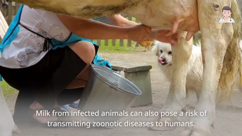 What is Zoonotic Transmission (3 Minutes Microlearning)