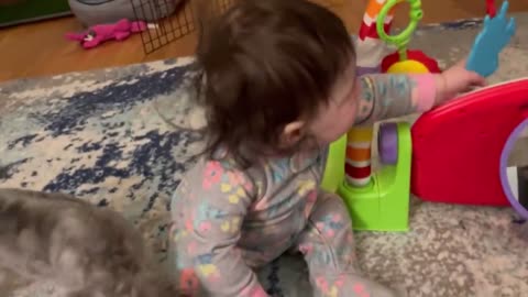 Cutest Babies Play With Dogs And Cats Compilation - funny