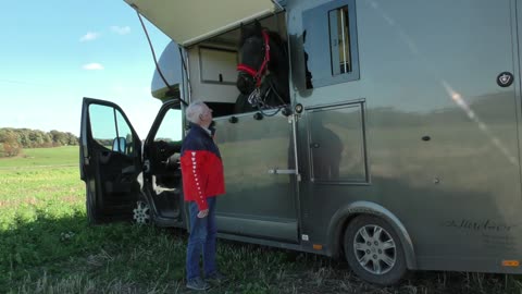 Friesian Horse Apollo goes on a Pleasure Ride