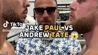 Andrew Tate vs Jake Paul