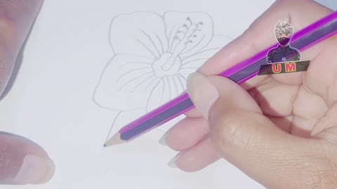 How to draw flower 🌺 flower drawing