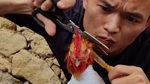 Give the chicken a nice haircut 😜 Chinese most funny video | #shorts #shortsvideo #野#outdoor