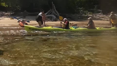 Kayak Tour Rescues Baby Fawn from Drowning