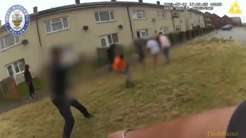 West Midlands police release body cam after video shows officers tasing dog and dragging it in a bin