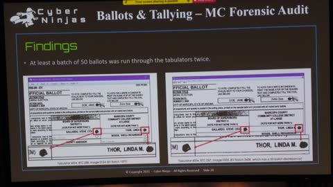 Massive Duplicate Ballot Discrepancies Revealed In Audit Report