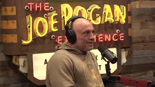 JRE Clips - Protect Our Parks on the Legend of John Mcafee