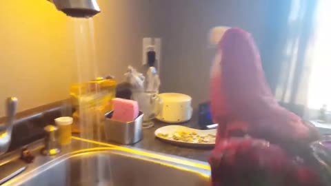 Happy parrot having morning shower