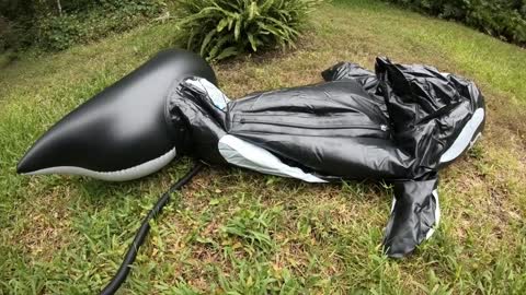 Intex Whale with a Zipper