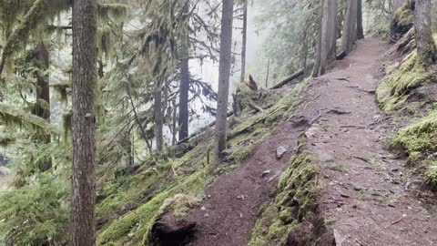 Hiking Beyond Koosah Falls – Sahalie Falls & Koosah Falls Loop – Central Oregon – 4K