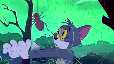 The Tom and Jerry Show | Spider Tom | Boomerang UK 🇬🇧