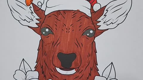 Coloring A Deer - Christmas in July