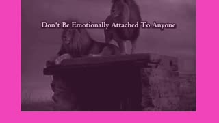 Don't Be Emotionally Attached To Anyone...