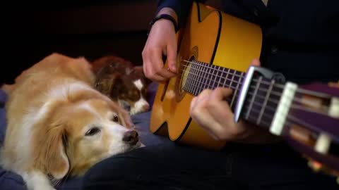 The Scientist - Coldplay (Fingerstyle Guitar)