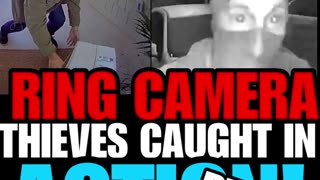 NIMH Ep #604 Ring camera thieves caught in action! Part 1