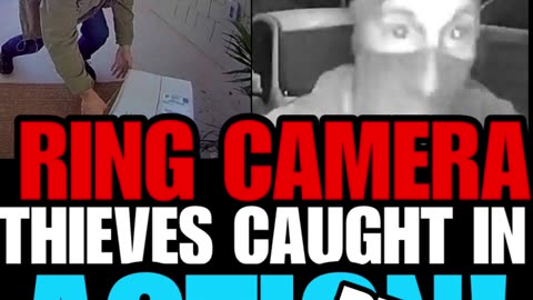 NIMH Ep #604 Ring camera thieves caught in action! Part 1